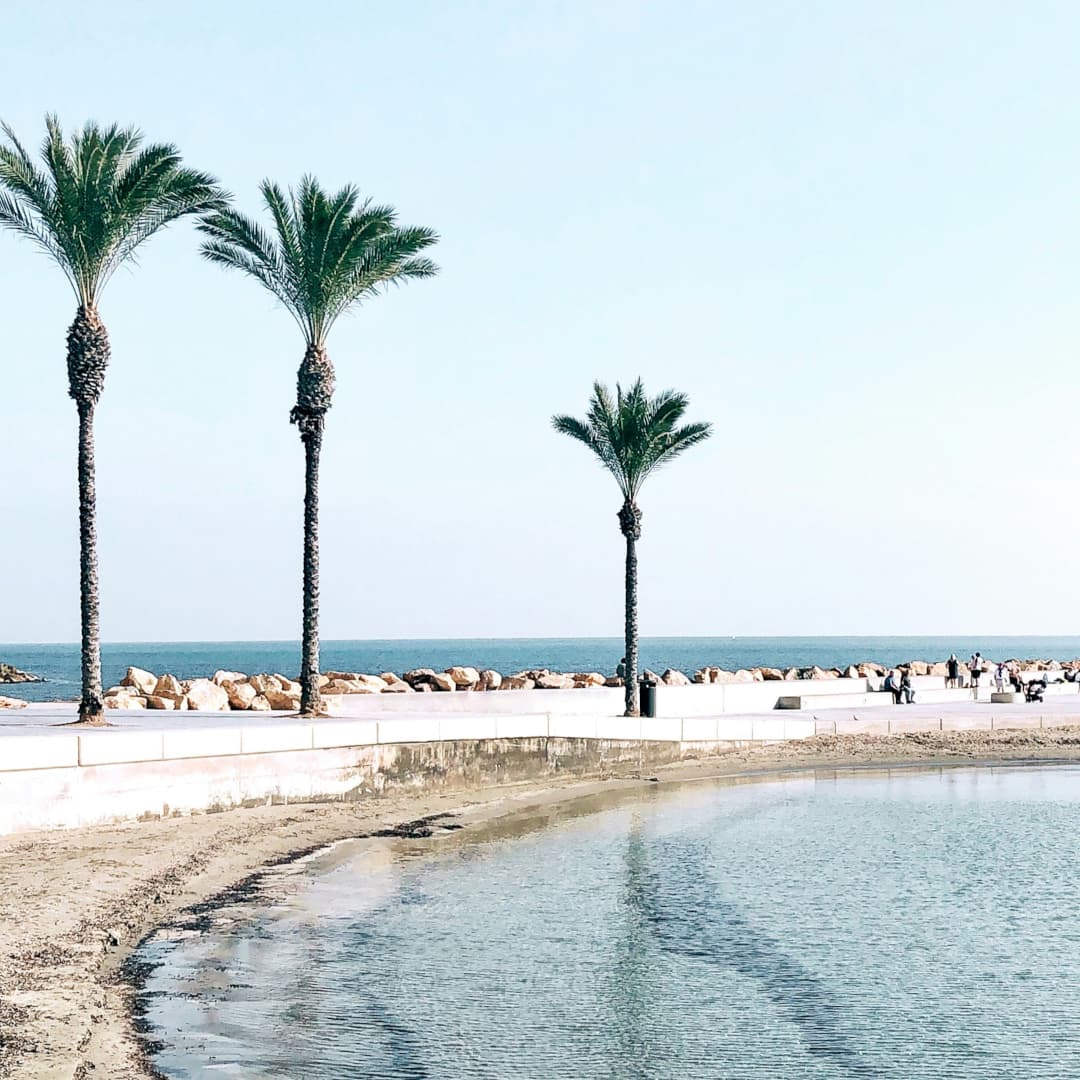 Torrevieja 2
