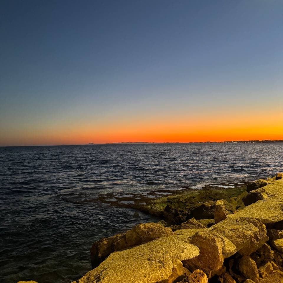 Torrevieja 8